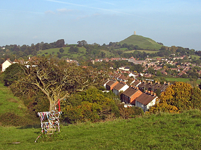 Holy Thorn on Wearyall Hill