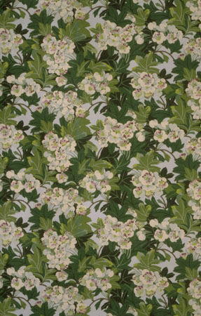 Mary Ratcliffe Spring blossom