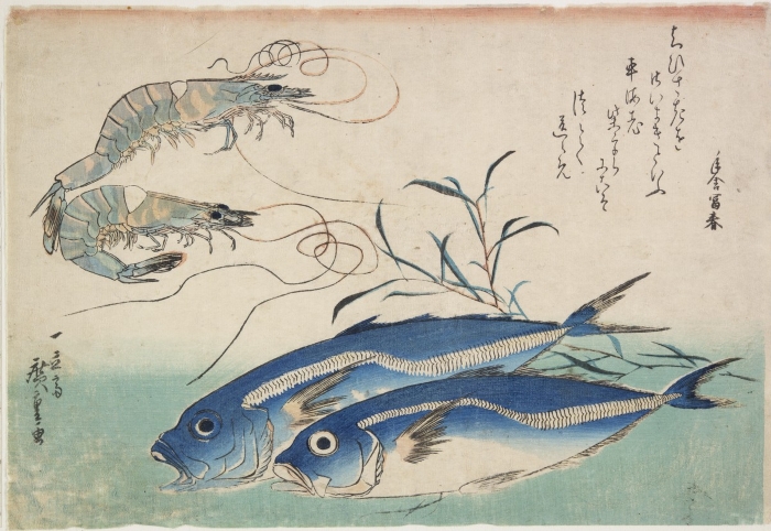 Utagawa Hiroshige’s Fish Series: Prawns and Horse Mackerels